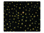 115 Gold Dots Black Velvet -Stiletto